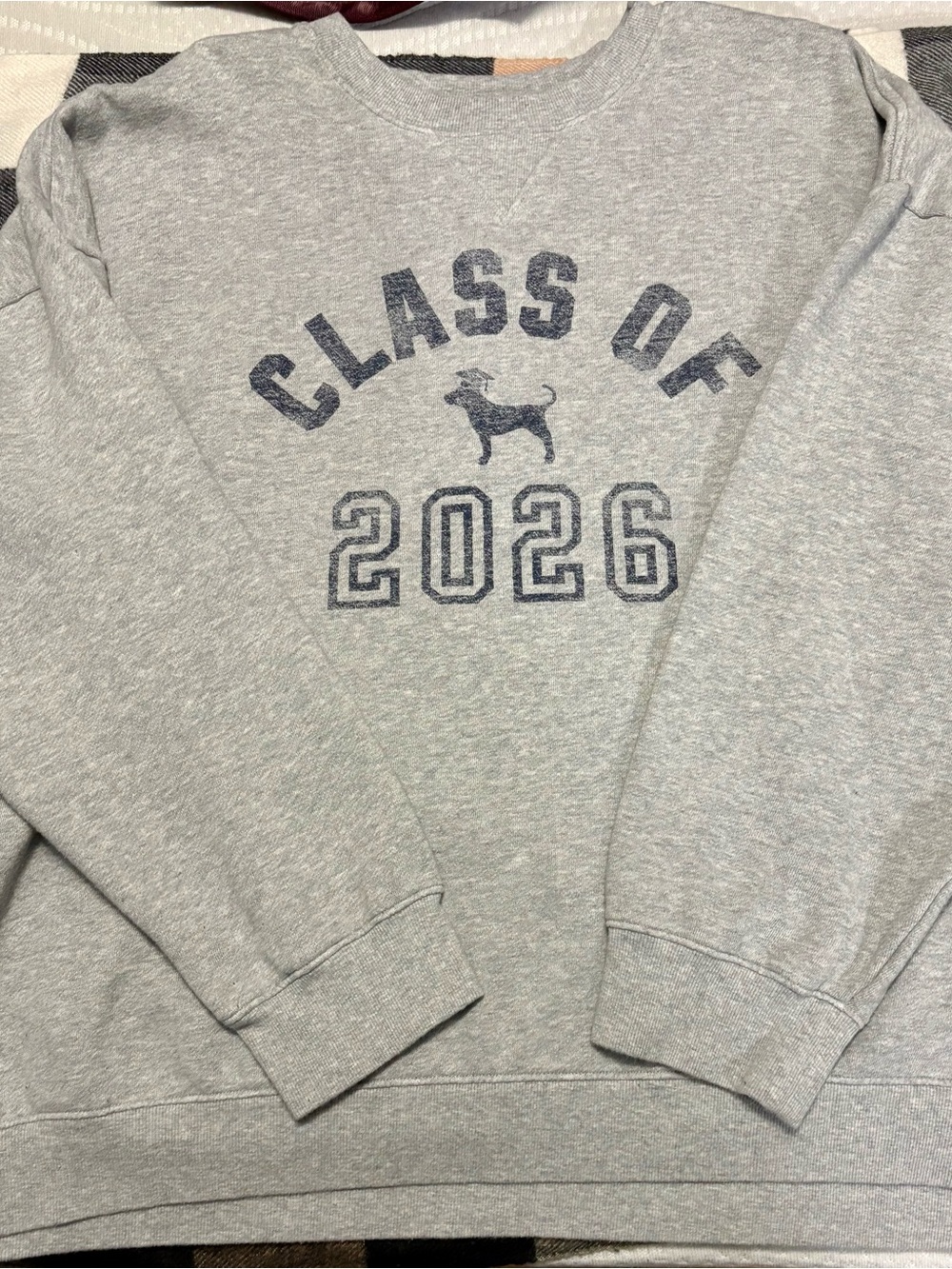 PINK by VS Crewneck